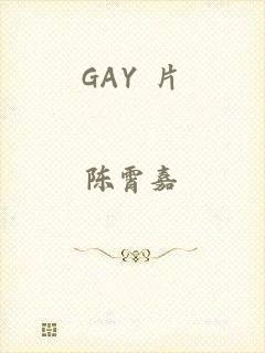 GAY 片